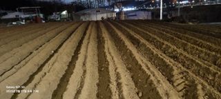 무봉농장(기북)님의 기타작물 · 영농일지 작성글 사진