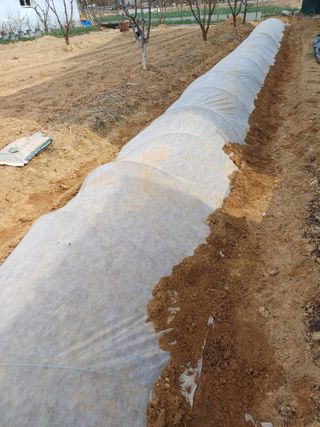 이철우님의 기타작물 · 영농일지 작성글 사진