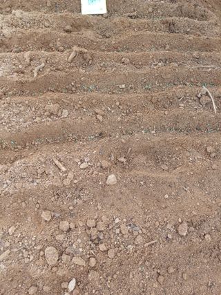 이철우님의 기타작물 · 영농일지 작성글 사진