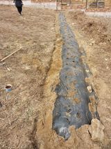 팜모닝 기타작물·영농일지 게시글 이미지