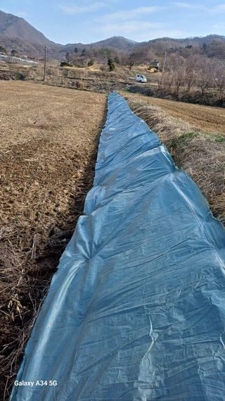 박원용님의 기타작물 · 영농일지 작성글 사진