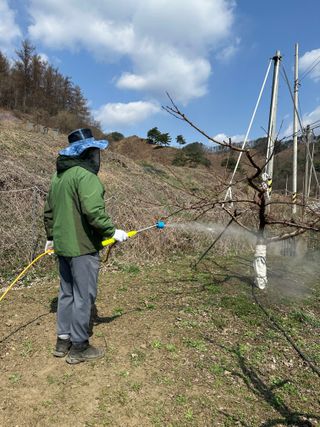 바람소리님의 기타작물 · 영농일지 작성글 사진