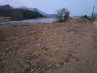 황금농장님의 기타작물 · 영농일지 작성글 사진