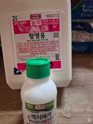 문성농장15146님의 기타작물 · 영농일지 작성글 사진