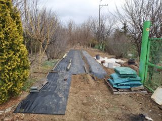 송완춘님의 기타작물 · 영농일지 작성글 사진