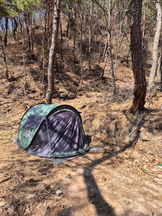 정진필님의 기타작물 · 영농일지 작성글 사진