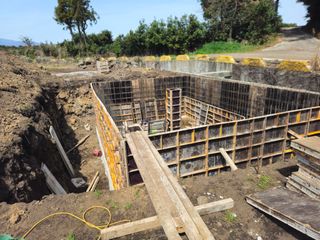 새달귤농장님의 귤 · 영농일지 작성글 사진