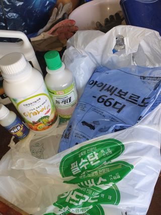 은우농장님의 자두 · 영농일지 작성글 사진