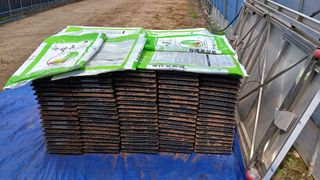 이길주님의 파 · 영농일지 작성글 사진