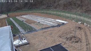 포청천님의 기타작물 · 영농일지 작성글 사진