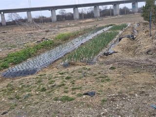 박해용(세건농장)님의 기타작물 · 영농일지 작성글 사진