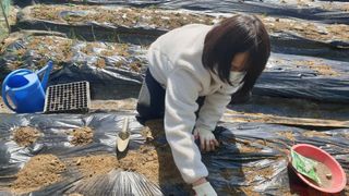 이경옥님의 기타작물 · 영농일지 작성글 사진