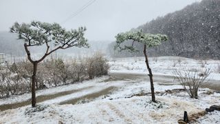 호두마루님의 기타작물 · 영농일지 작성글 사진