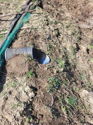 사과18677님의 기타작물 · 영농일지 작성글 사진