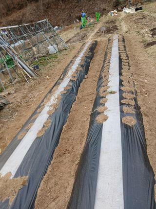 사과18677님의 기타작물 · 영농일지 작성글 사진