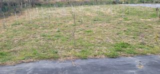 박종화님의 기타작물 · 영농일지 작성글 사진