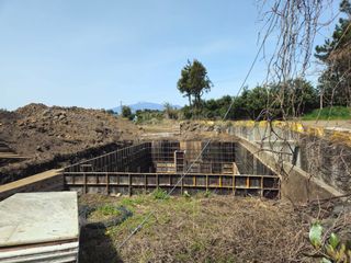 새달귤농장님의 귤 · 영농일지 작성글 사진