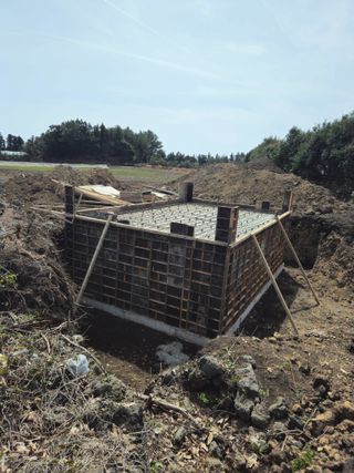 새달귤농장님의 귤 · 영농일지 작성글 사진