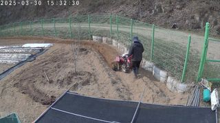 포청천님의 기타작물 · 영농일지 작성글 사진