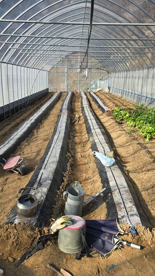 정태권님의 감자 · 영농일지 작성글 사진