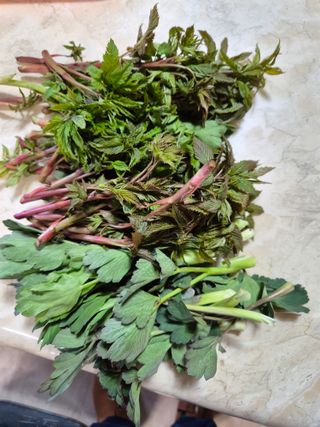 정진필님의 기타작물 · 영농일지 작성글 사진