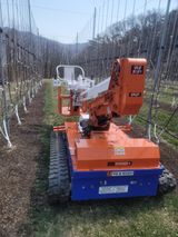 팜모닝 사과·영농일지 게시글 이미지