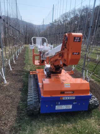 시나노골드님의 사과 · 영농일지 작성글 사진