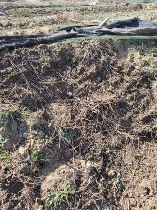 사과18677님의 기타작물 · 영농일지 작성글 사진