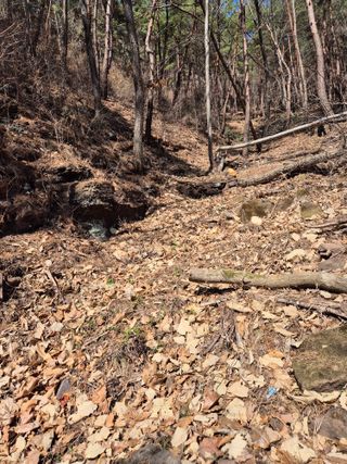 정진필님의 기타작물 · 영농일지 작성글 사진