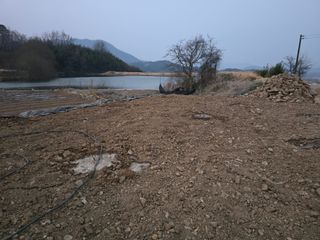 황금농장님의 기타작물 · 영농일지 작성글 사진