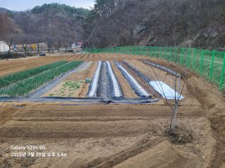 포청천님의 기타작물 · 영농일지 작성글 사진