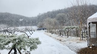 호두마루님의 기타작물 · 영농일지 작성글 사진