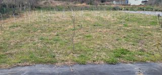 박종화님의 기타작물 · 영농일지 작성글 사진