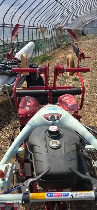 ♡청심전유삼♡님의 기타작물 · 영농일지 작성글 사진