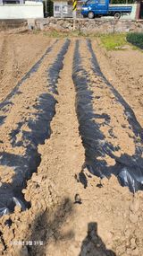 팜모닝 기타작물·영농일지 게시글 이미지