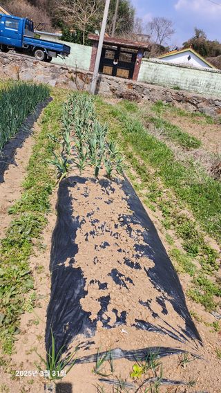 홍순철님의 기타작물 · 영농일지 작성글 사진