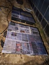 팜모닝 옥수수·영농일지 게시글 이미지