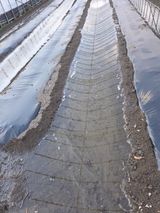 팜모닝 기타작물·영농일지 게시글 이미지