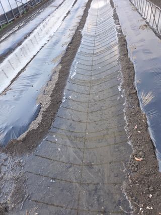 김재일님의 기타작물 · 영농일지 작성글 사진