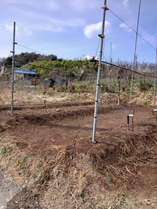 이광희님의 기타작물 · 영농일지 작성글 사진