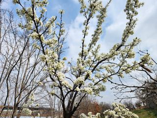 꿀복이농장님의 기타작물 · 영농일지 작성글 사진