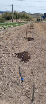 팜모닝 기타작물·영농일지 게시글 이미지