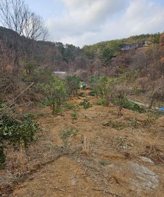 멧돼지님의 기타작물 · 영농일지 작성글 사진