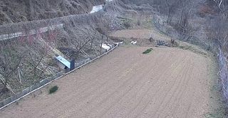 웅비님의 들깨 · 영농일지 작성글 사진