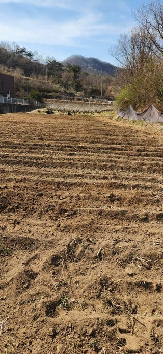 최군환님의 기타작물 · 영농일지 작성글 사진