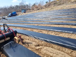 박사원농장님의 기타작물 · 영농일지 작성글 사진