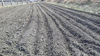 월굴리이승재님의 기타작물 · 영농일지 작성글 사진