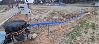 상촌농장 영가이버님의 기타작물 · 영농일지 작성글 사진