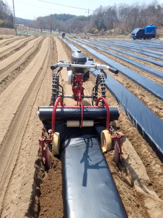 박사원농장님의 기타작물 · 영농일지 작성글 사진