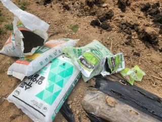 황금알대박농원!님의 감자 · 영농일지 작성글 사진